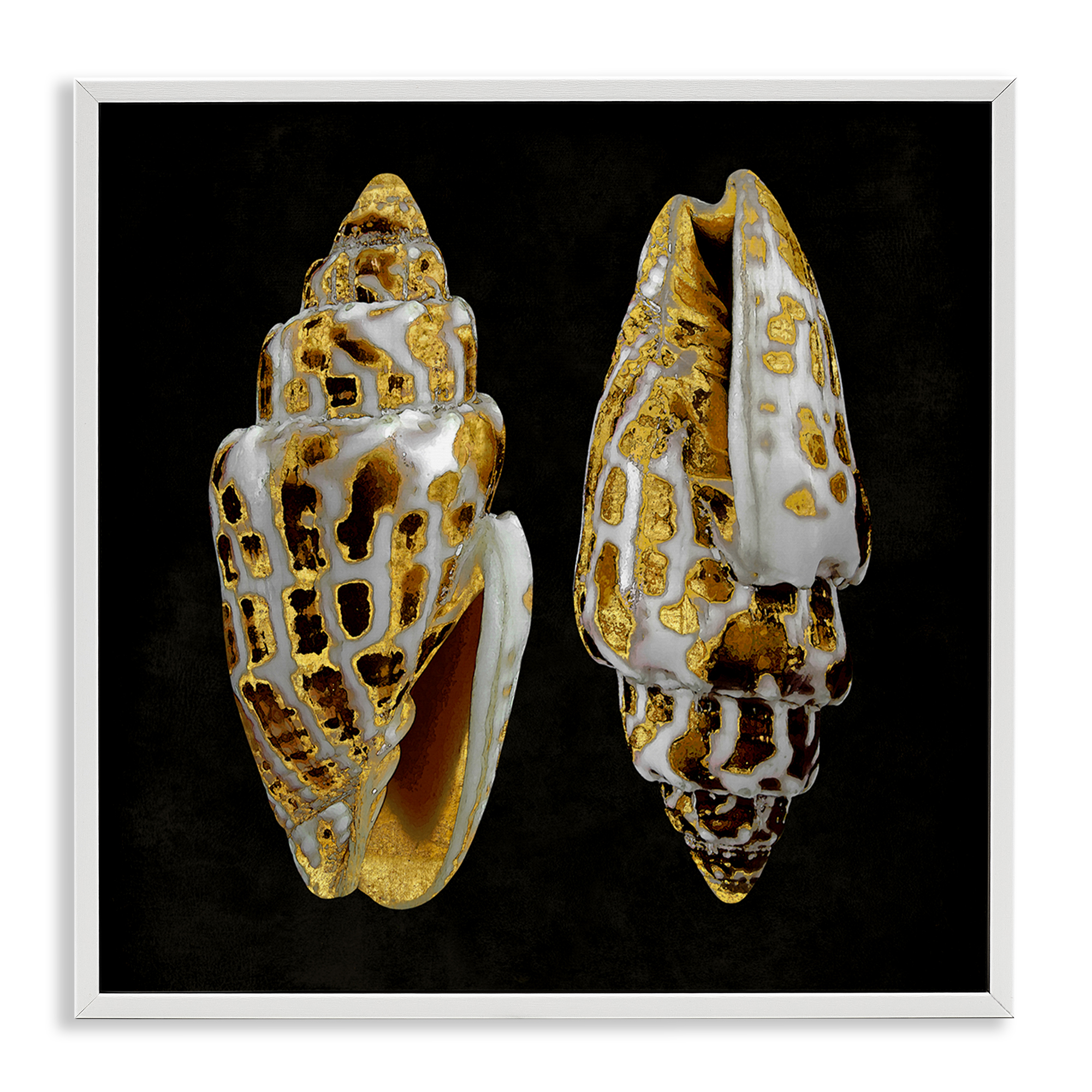 Stupell Industries Spotted Cowrie Shells Nautical & Beach Painting White Framed Art Print Wall Art, 24 x 24