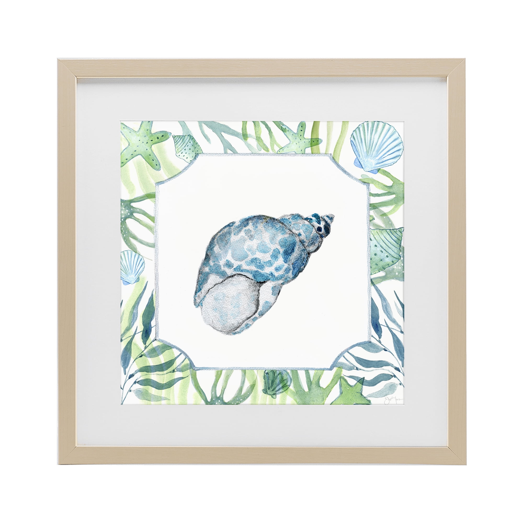 Stupell Industries Spotted Cowrie with Seaweed Birch Framed Print Under Glass, design by Janet Tava