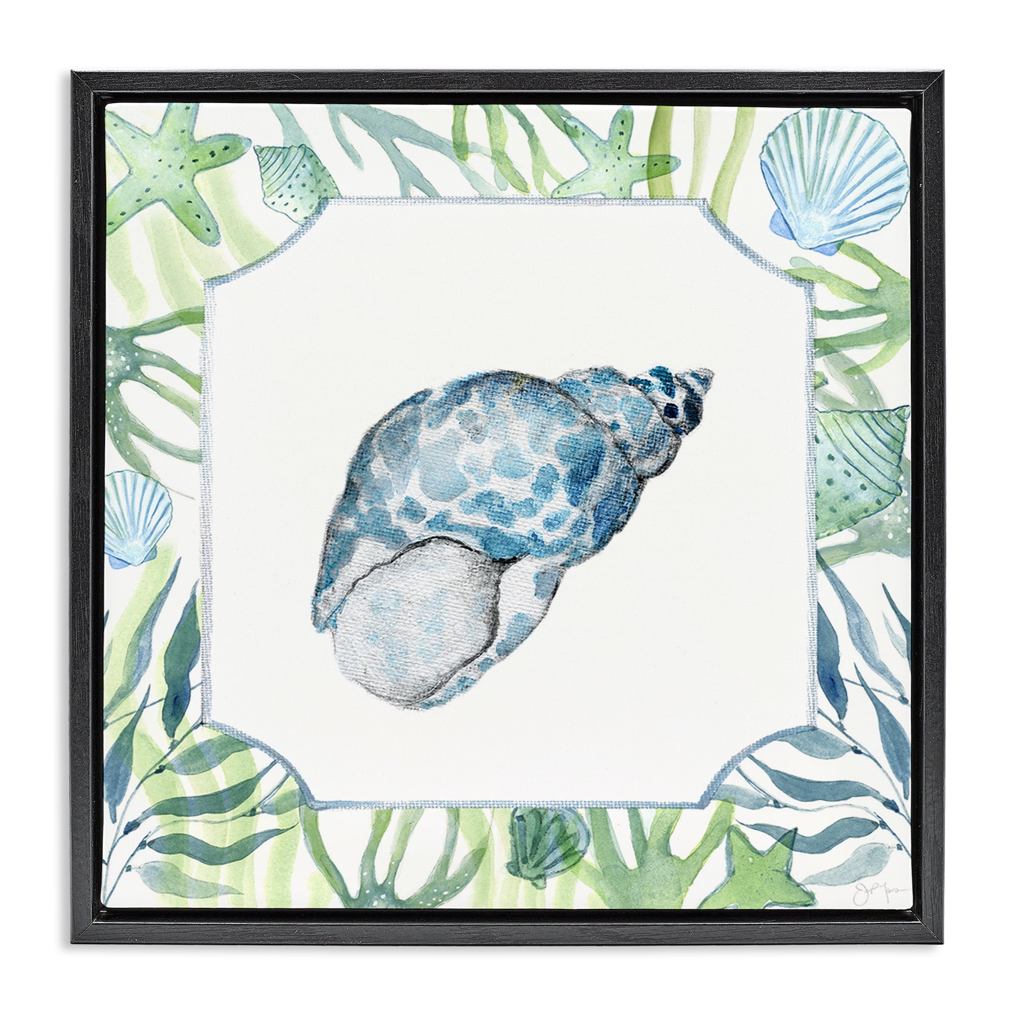 Stupell Industries Spotted Cowrie with Seaweed Black Framed Floater Canvas Wall Art, design by Janet Tava