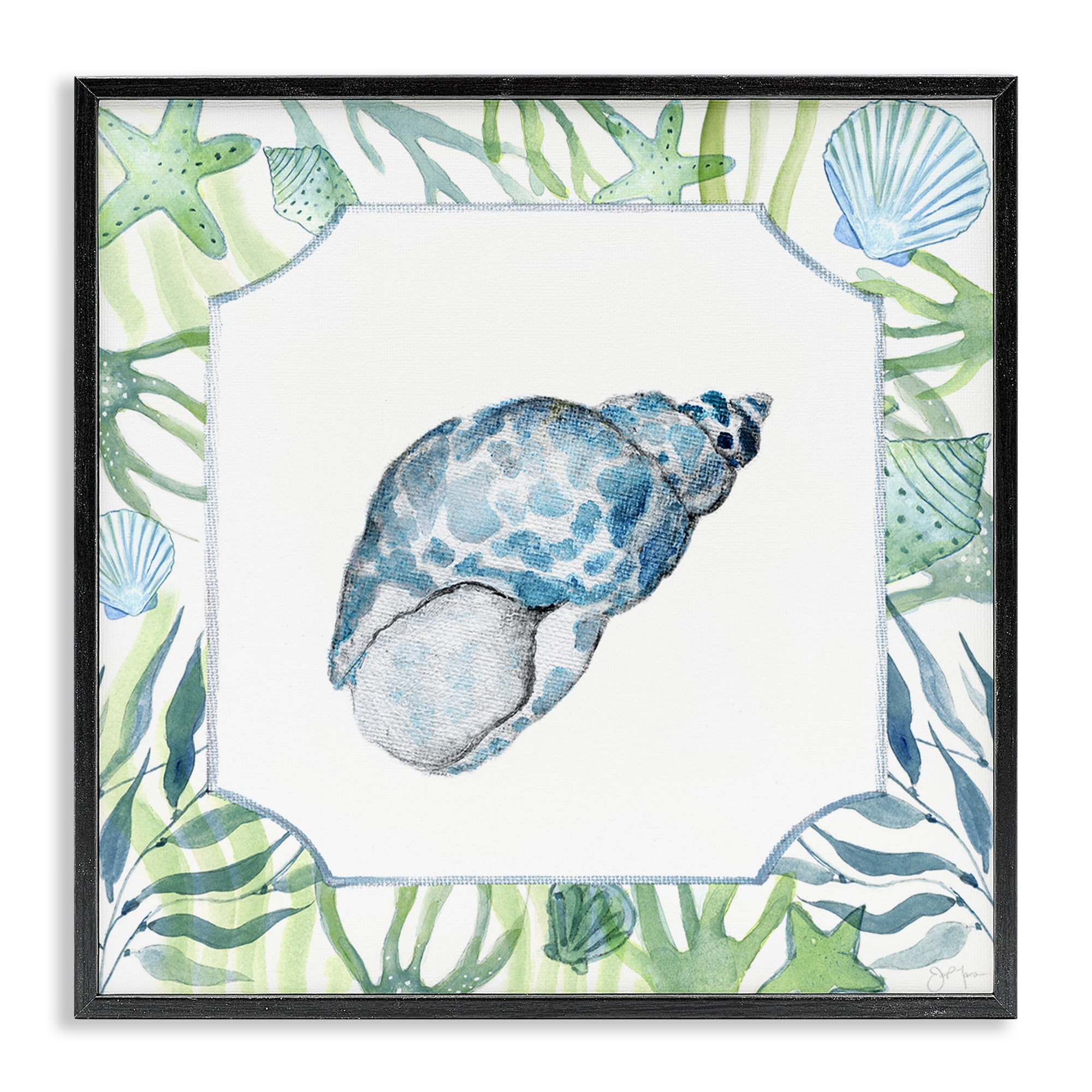 Stupell Industries Spotted Cowrie with Seaweed Black Framed Giclee Art, design by Janet Tava