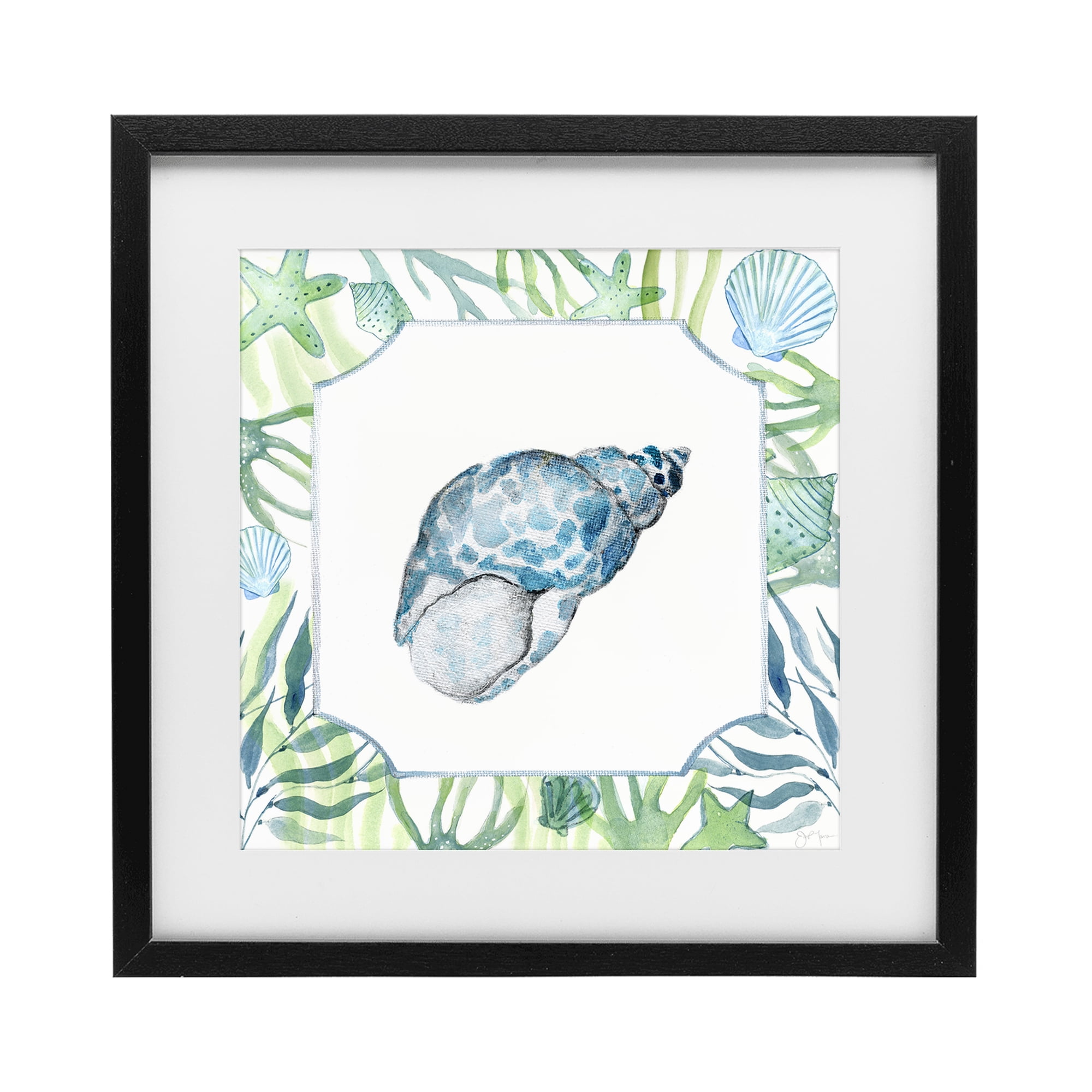 Stupell Industries Spotted Cowrie with Seaweed Black Framed Print Under Glass, design by Janet Tava