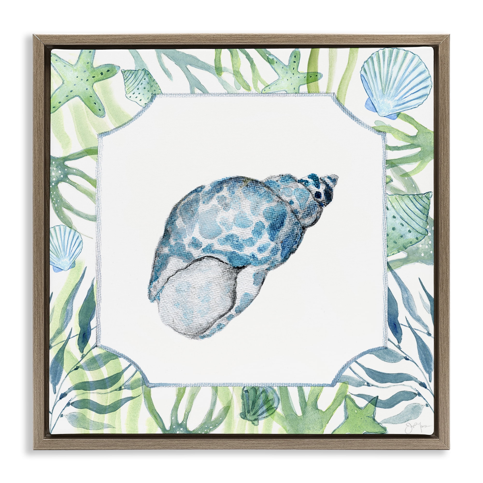 Stupell Industries Spotted Cowrie with Seaweed Brown Framed Floater Canvas Wall Art, design by Janet Tava
