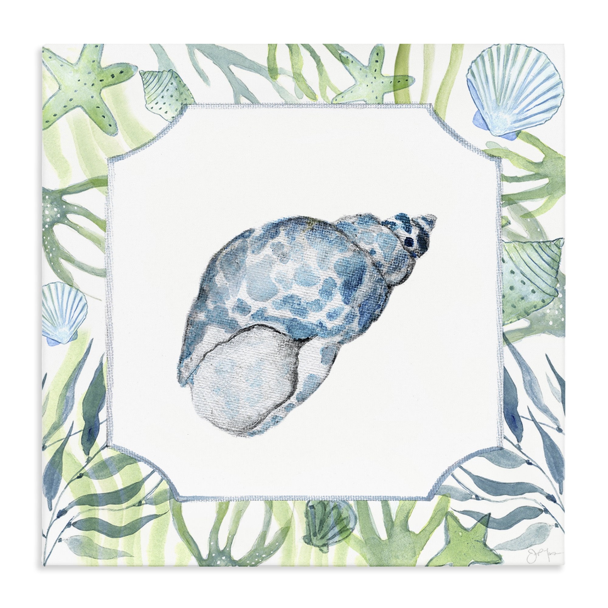 Stupell Industries Spotted Cowrie with Seaweed Canvas Wall Art, design by Janet Tava