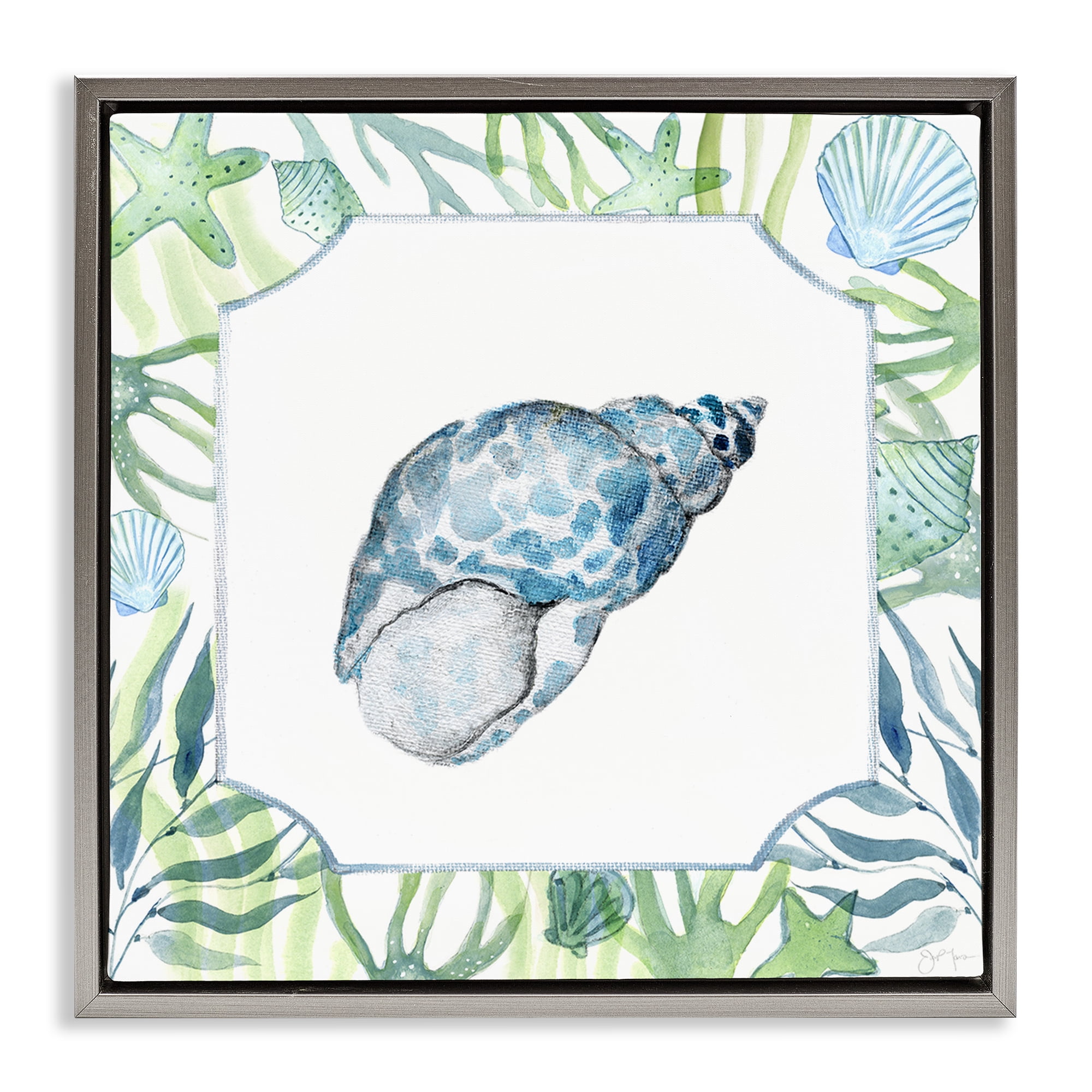 Stupell Industries Spotted Cowrie with Seaweed Gray Framed Floater Canvas Wall Art, design by Janet Tava