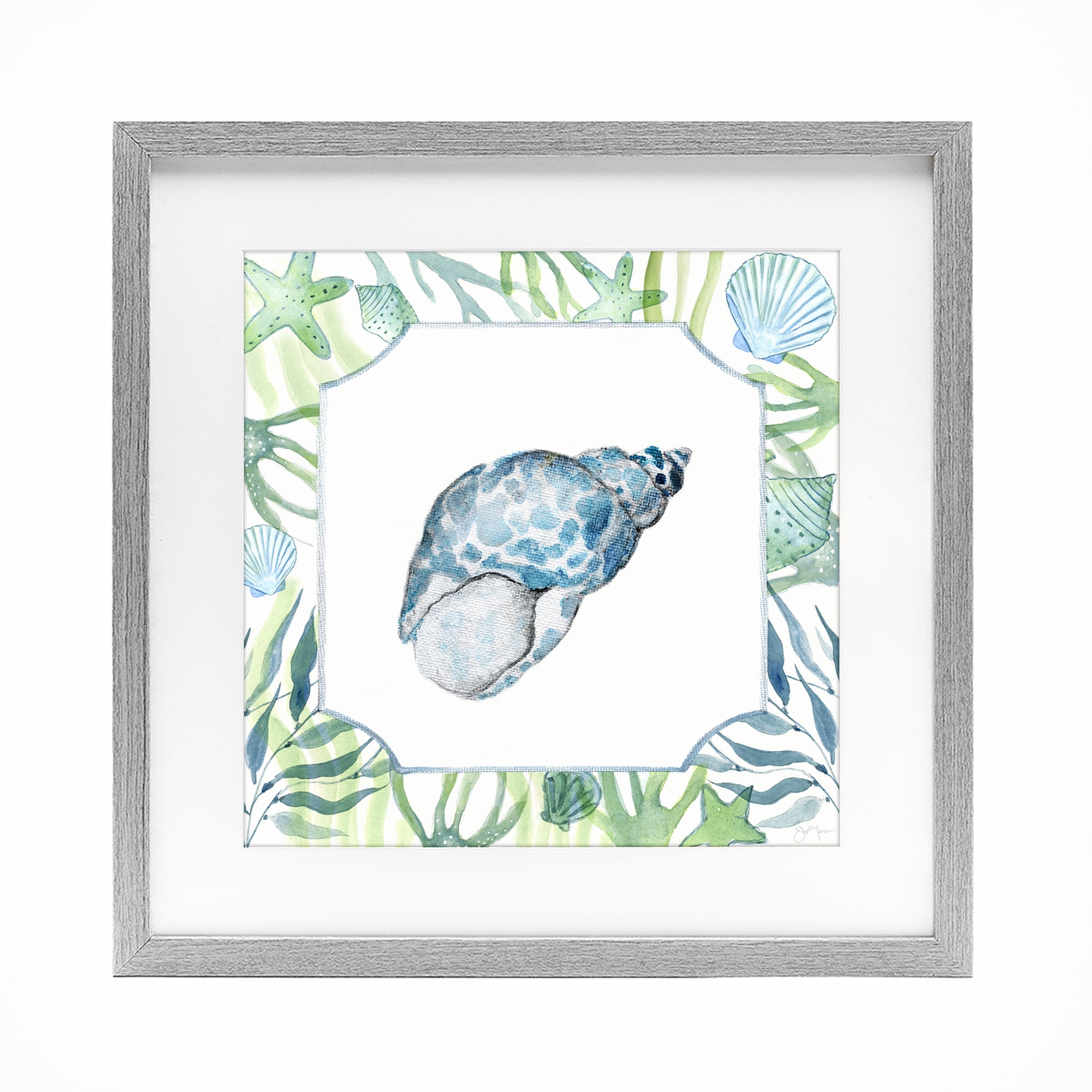 Stupell Industries Spotted Cowrie with Seaweed Gray Framed Print Under Glass, design by Janet Tava