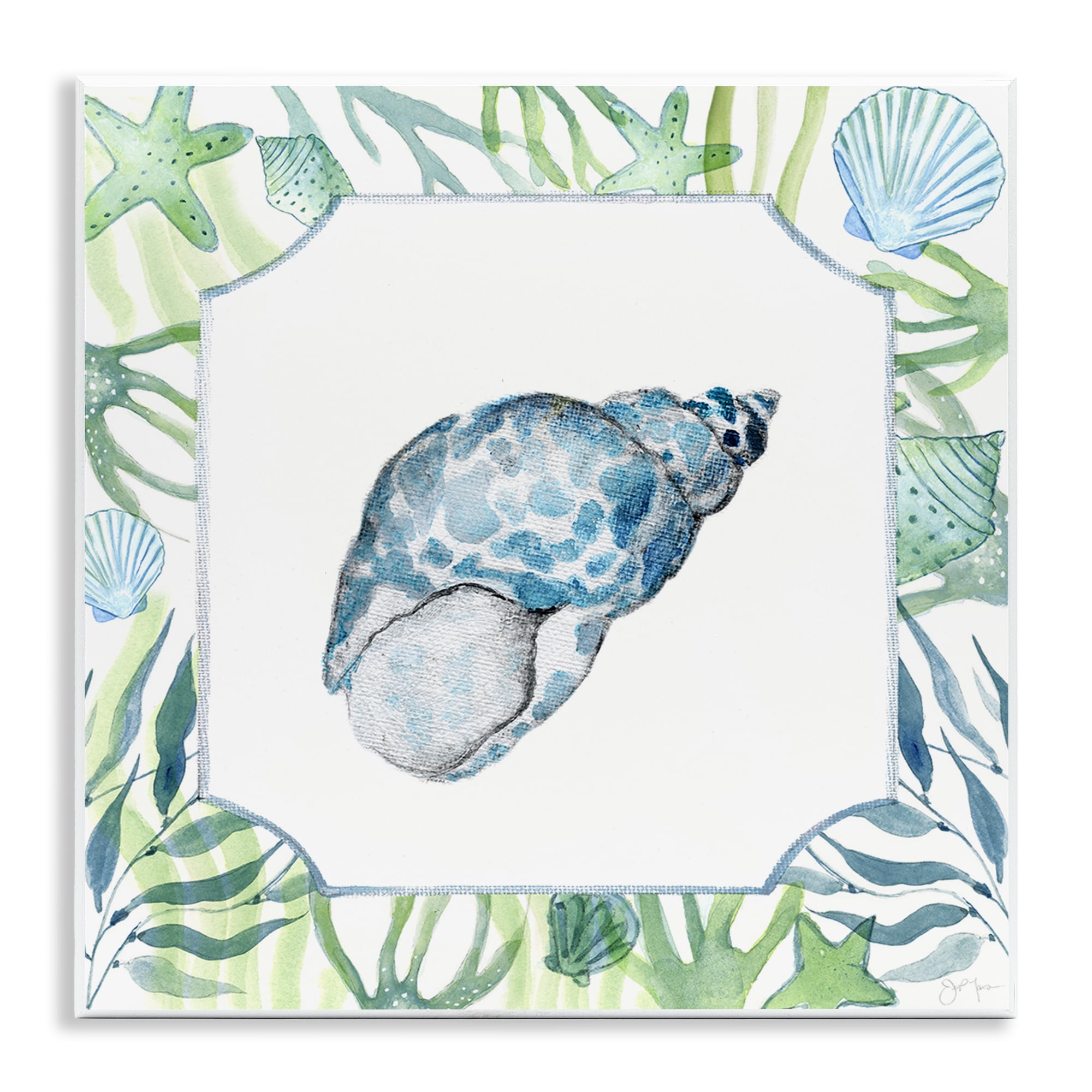 Stupell Industries Spotted Cowrie with Seaweed Wall Plaque Art, design by Janet Tava