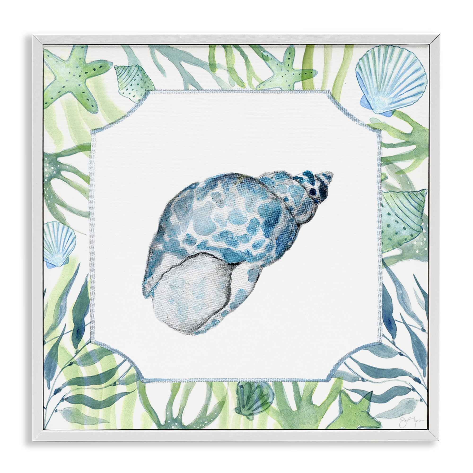 Stupell Industries Spotted Cowrie with Seaweed White Framed Giclee Art, design by Janet Tava