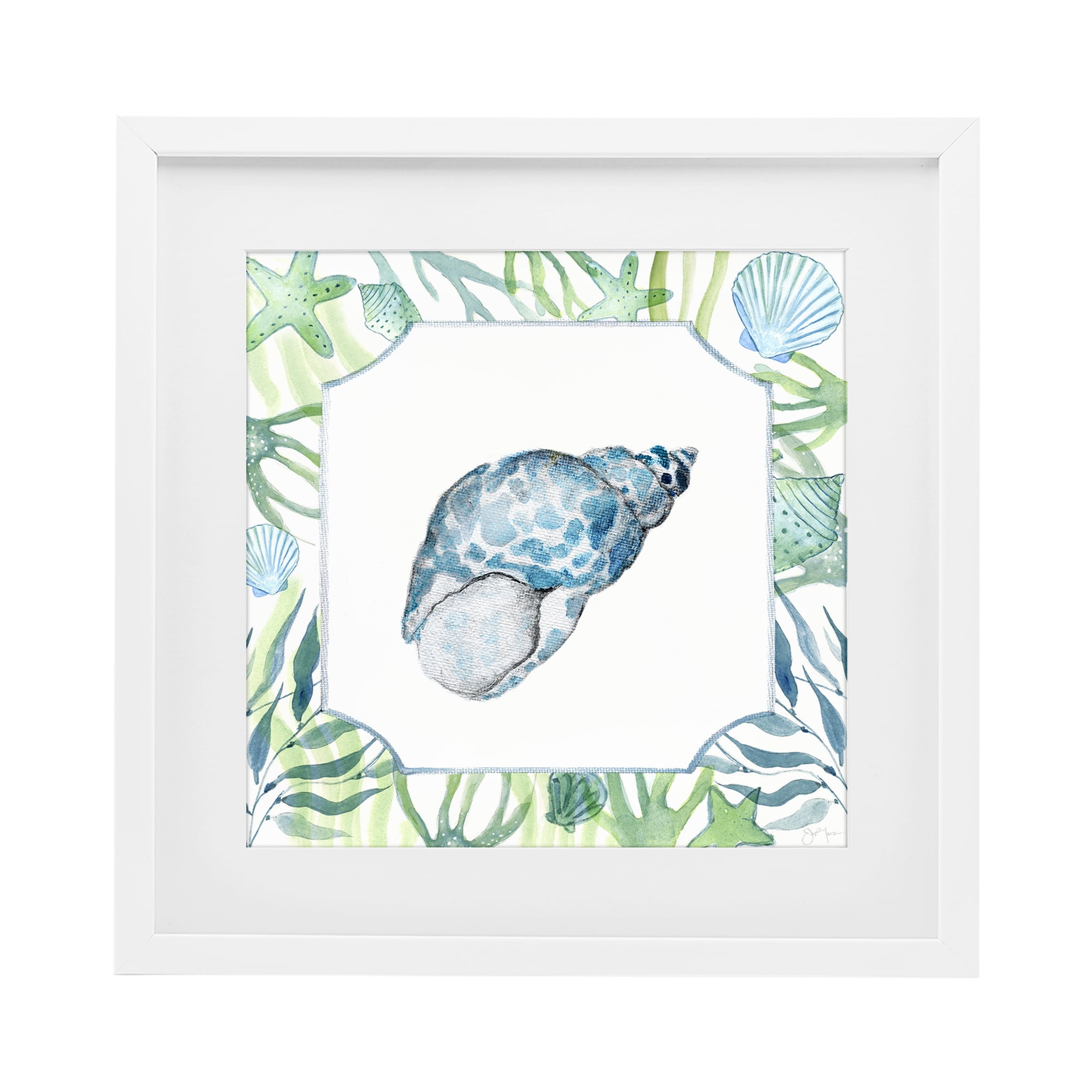 Stupell Industries Spotted Cowrie with Seaweed White Framed Print Under Glass, design by Janet Tava