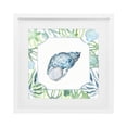 thumbnail image 1 of Stupell Industries Contemporary Spotted Cowrie with Seaweed White Framed Print Under Glass, 13 x 13, by Janet Tava, 1 of 8