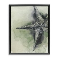 Stupell Industries Spotted Grey Starfish Animals & Insects Painting Black Floater Framed Canvas Art Print Wall Art, 17 x 21