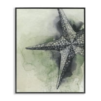 Stupell Industries Spotted Grey Starfish Animals & Insects Painting Black Framed Art Print Wall Art, 11 x 14