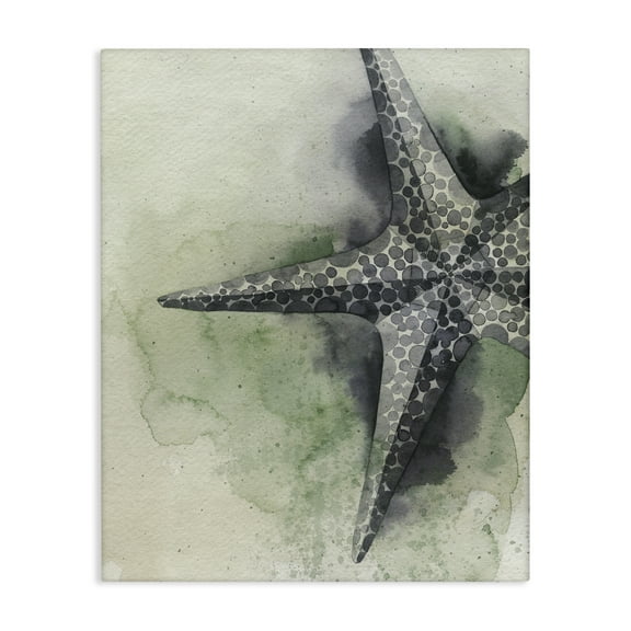 Stupell Industries Spotted Grey Starfish Animals & Insects Painting Gallery Wrapped Canvas Art Print Wall Art, 16 x 20