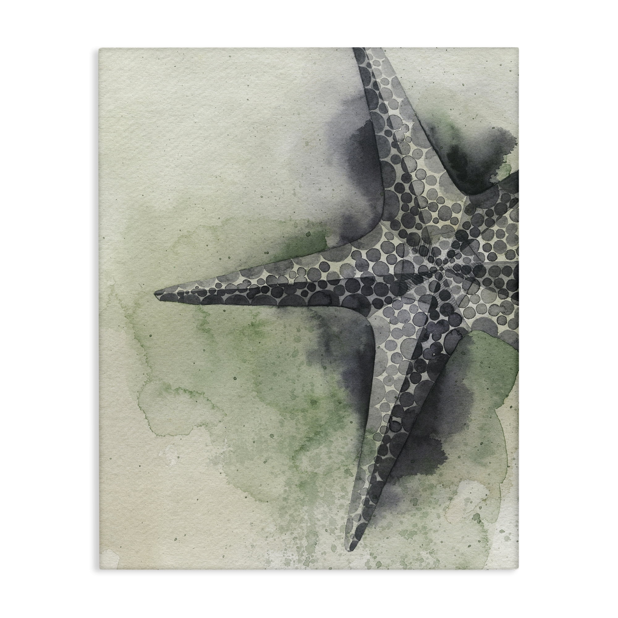 Stupell Industries Spotted Grey Starfish Animals & Insects Painting Gallery Wrapped Canvas Art Print Wall Art, 24 x 30