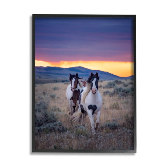 Stupell Industries Spotted Horses at Sunrise Animals & Insects Photography Black Framed Art Print Wall Art, 11 x 14