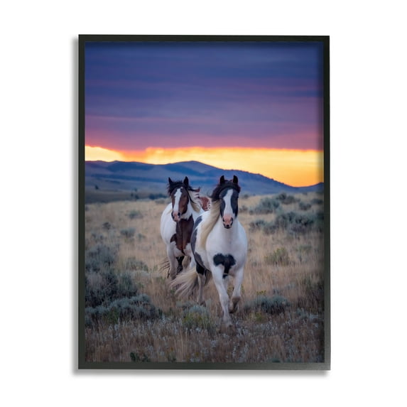Stupell Industries Spotted Horses at Sunrise Animals & Insects Photography Black Framed Art Print Wall Art, 11 x 14