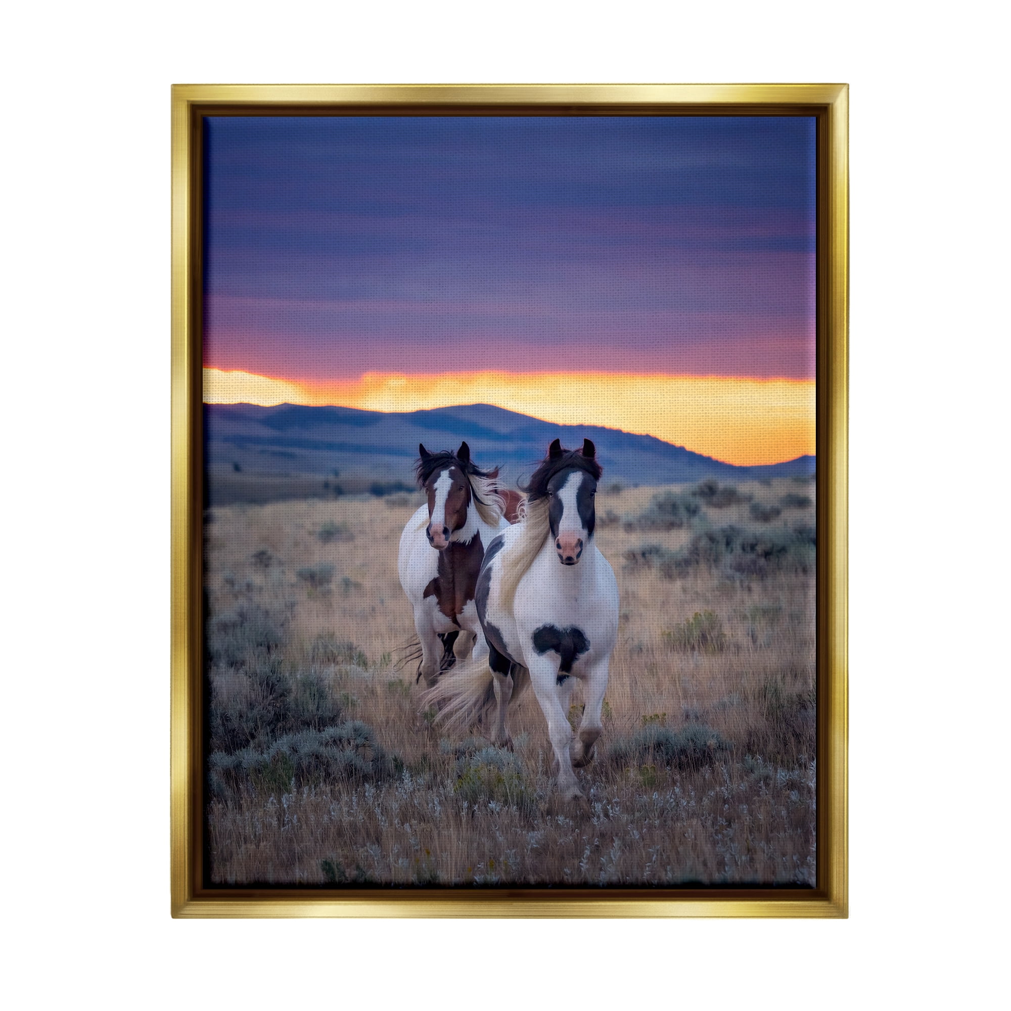 Stupell Industries Spotted Horses at Sunrise Animals & Insects Photography Gold Floater Framed Canvas Art Print Wall Art, 17 x 21