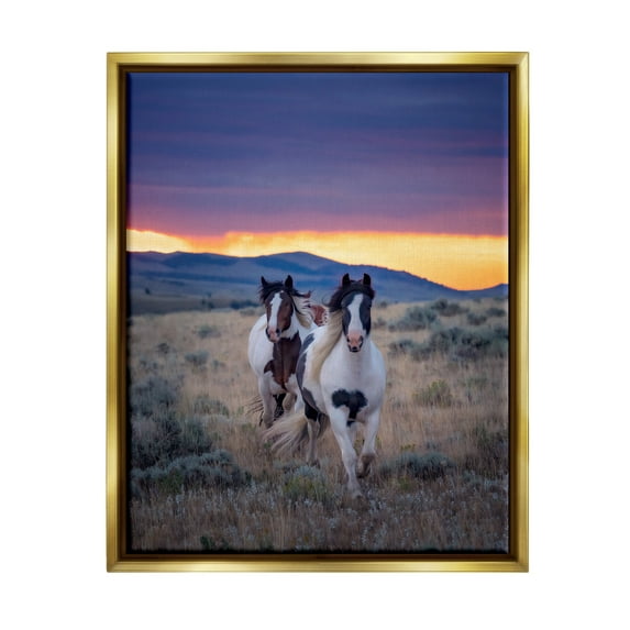 Stupell Industries Spotted Horses at Sunrise Animals & Insects Photography Gold Floater Framed Canvas Art Print Wall Art, 25 x 31