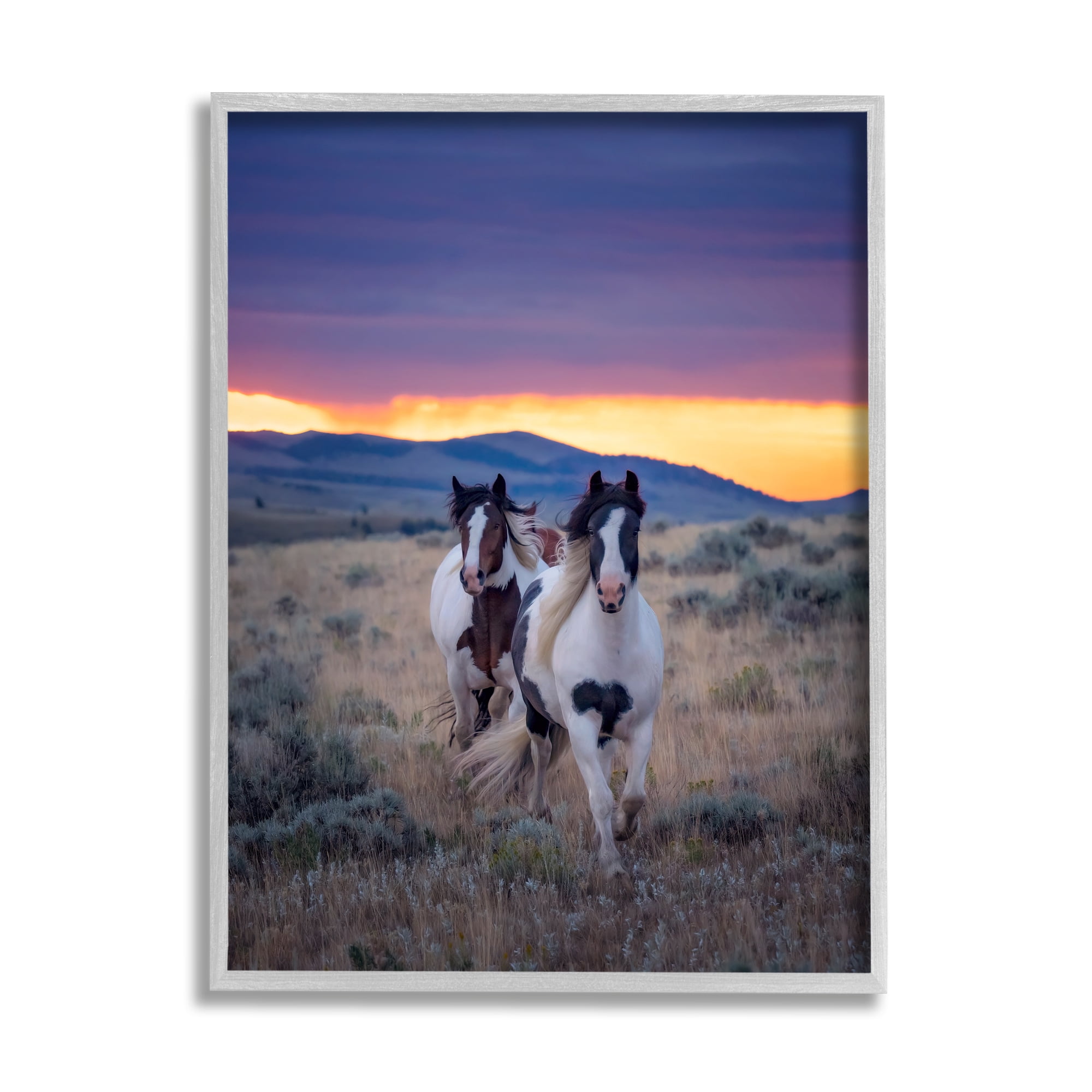 Stupell Industries Spotted Horses at Sunrise Animals & Insects Photography Gray Framed Art Print Wall Art, 11 x 14