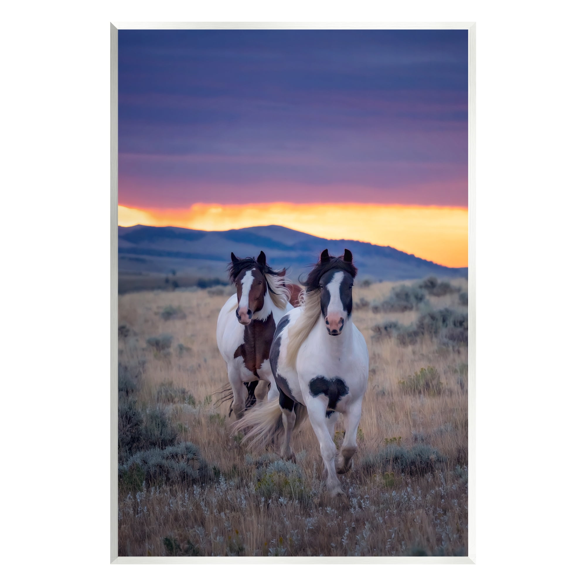 Stupell Industries Spotted Horses at Sunrise Animals & Insects Photography Unframed Art Print Wall Art, 13 x 19
