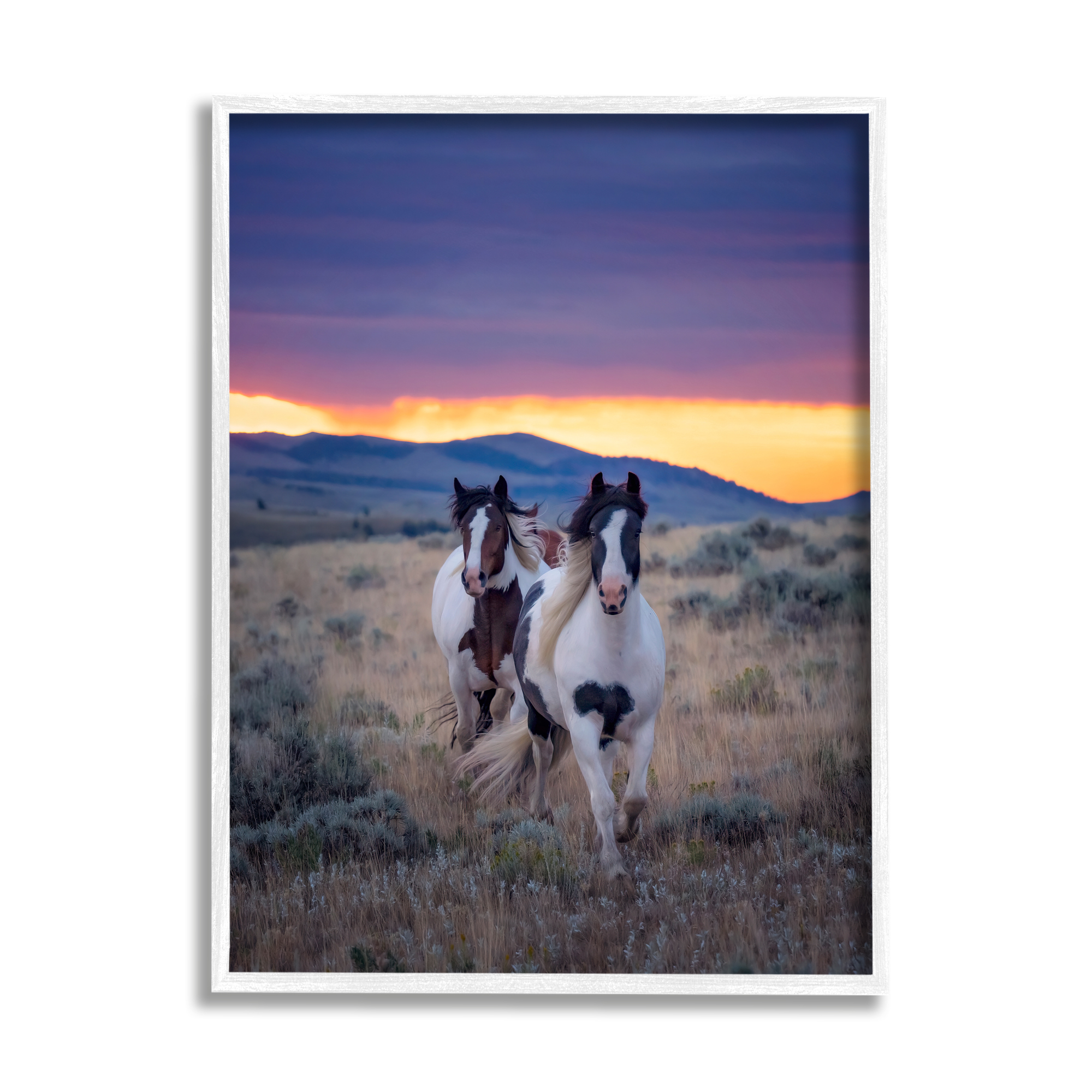 Stupell Industries Spotted Horses at Sunrise Animals & Insects Photography White Framed Art Print Wall Art, 11 x 14