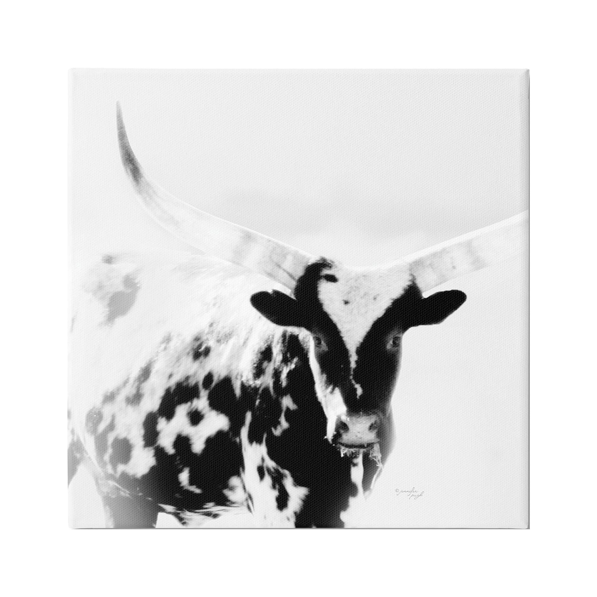 Stupell Industries Spotted Longhorn Cattle Meeting Gaze Animal Portrait Photograph Gallery Wrapped Canvas Print Wall Art, Design by Jennifer Pugh
