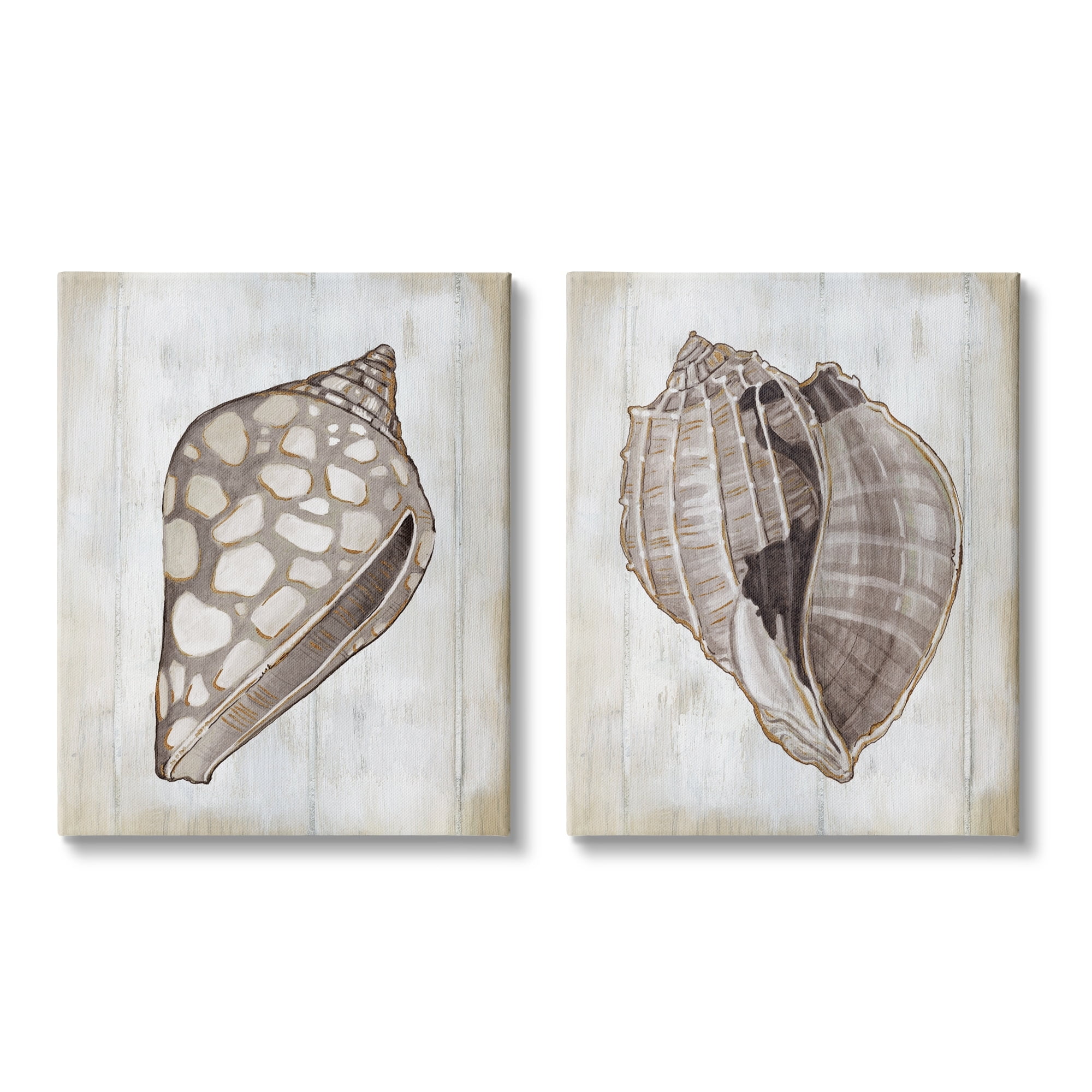Stupell Industries Spotted Seashell Rustic Marine Life Beach Sign Graphic Art Gallery Wrapped Canvas Print Wall Art, Set of 2, Design by Carol Robinson