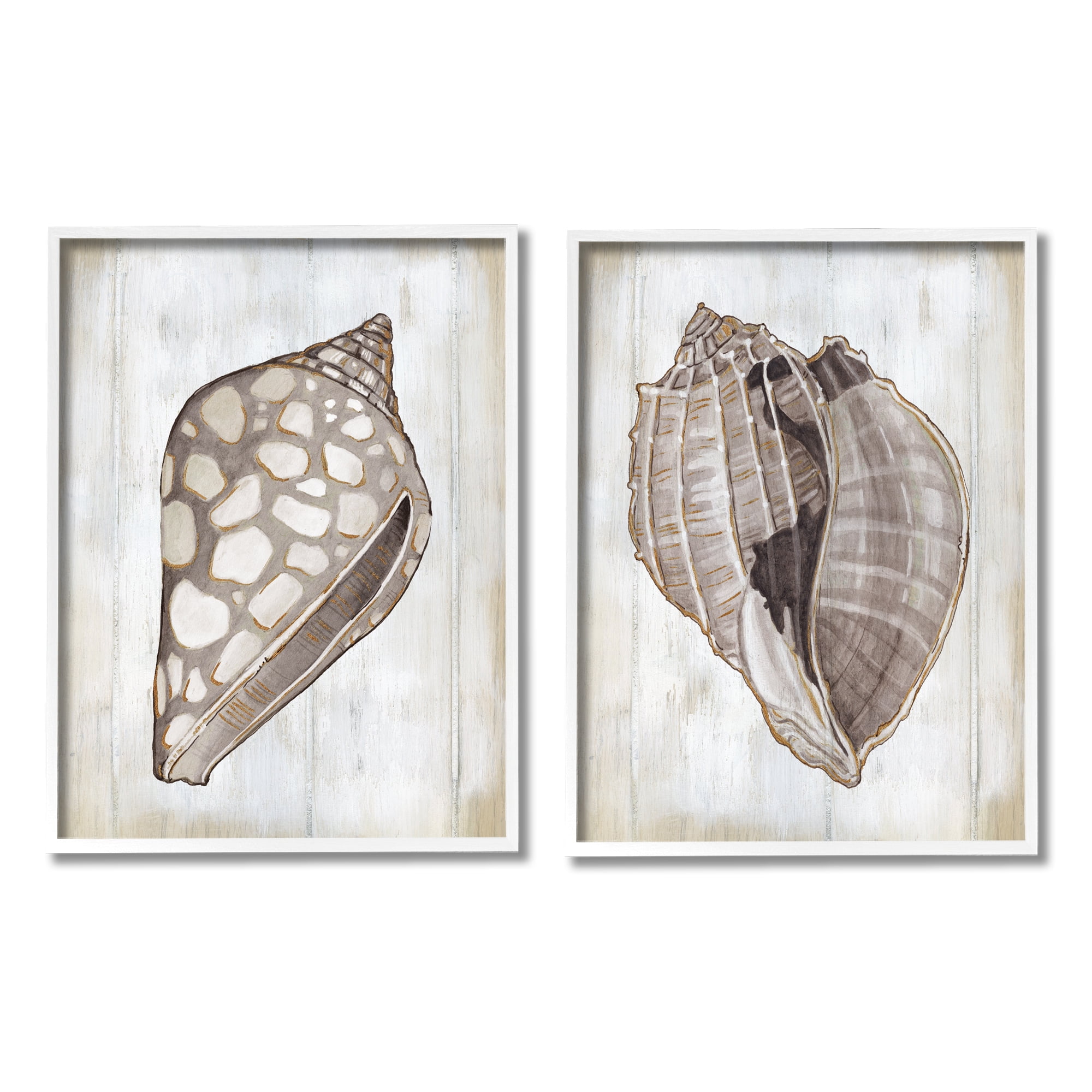 Stupell Industries Spotted Seashell Rustic Marine Life Beach Sign Graphic Art White Framed Art Print Wall Art, Set of 2, Design by Carol Robinson