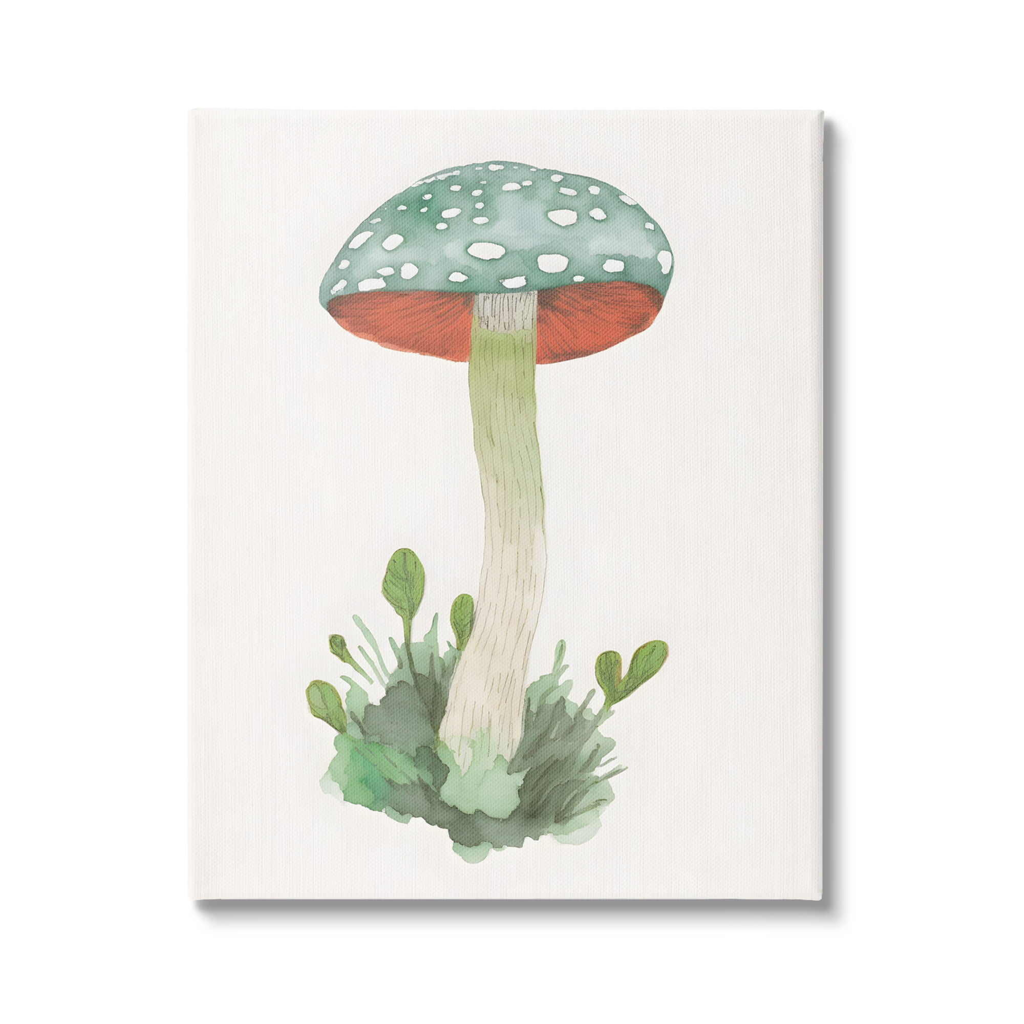 Stupell Industries Spotted Watercolor Mushroom Botanical & Floral Painting Gallery Wrapped Canvas Art Print Wall Art, 24 x 30