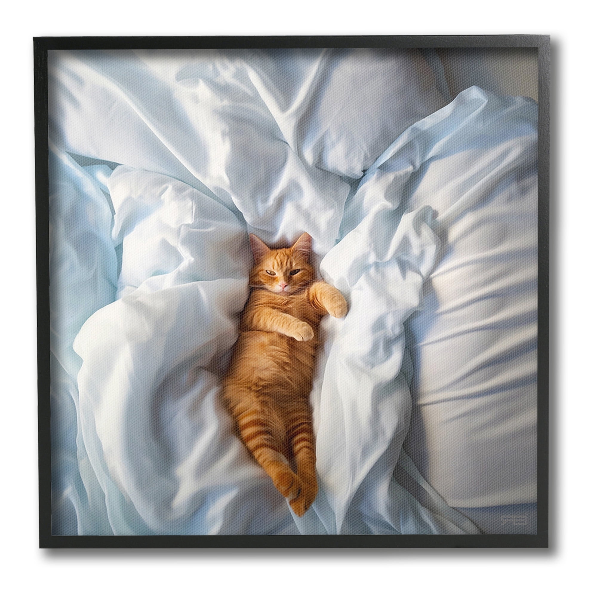 Stupell Industries Sprawled Orange Cat Animals & Insects Painting Black Framed Art Print Wall Art, 12 x 12