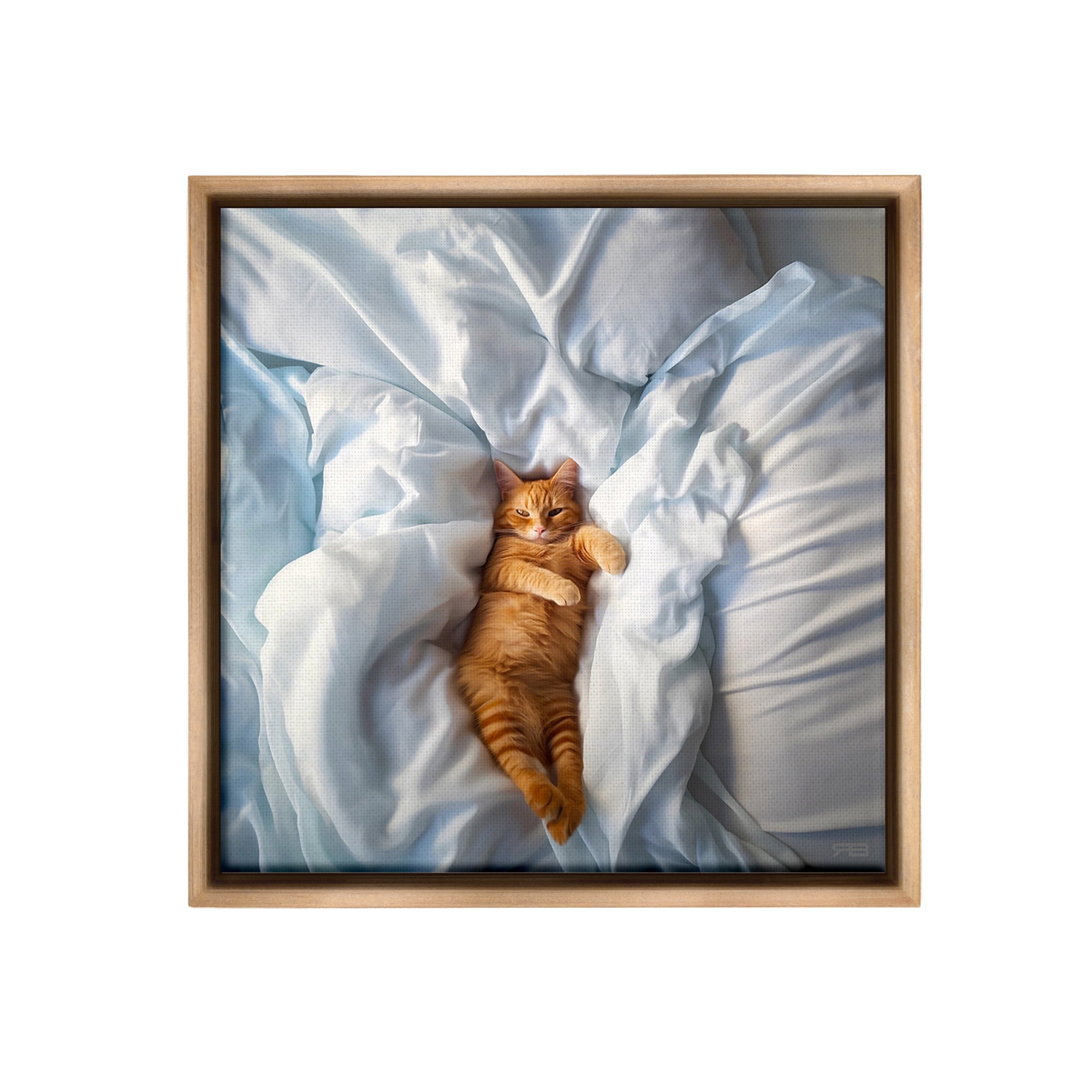 Stupell Industries Sprawled Orange Cat Animals & Insects Painting Brown Floater Framed Canvas Art Print Wall Art, 25 x 25