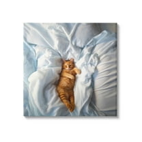 Stupell Industries Sprawled Orange Cat Animals & Insects Painting Gallery Wrapped Canvas Art Print Wall Art, 17 x 17