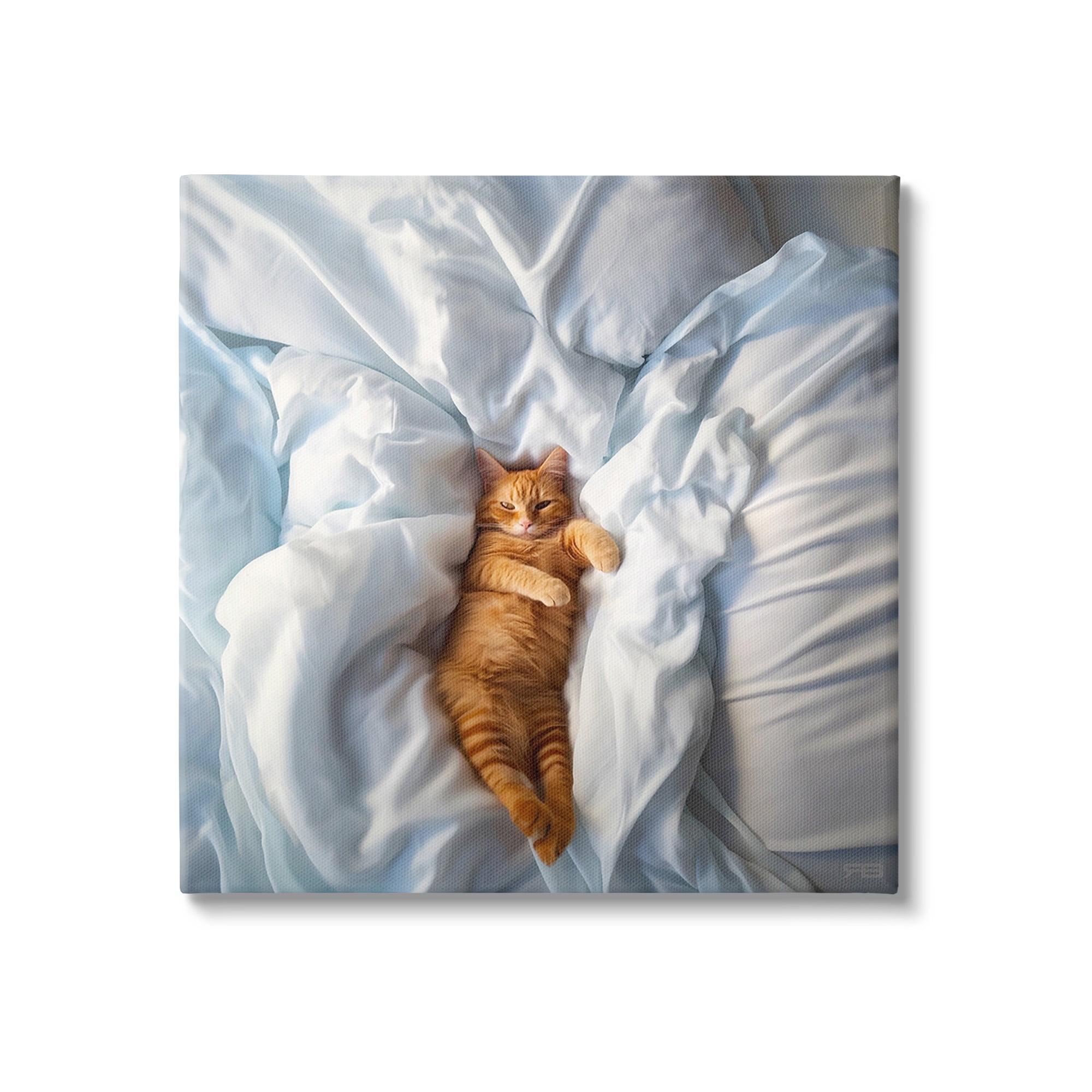 Stupell Industries Sprawled Orange Cat Animals & Insects Painting Gallery Wrapped Canvas Art Print Wall Art, 24 x 24