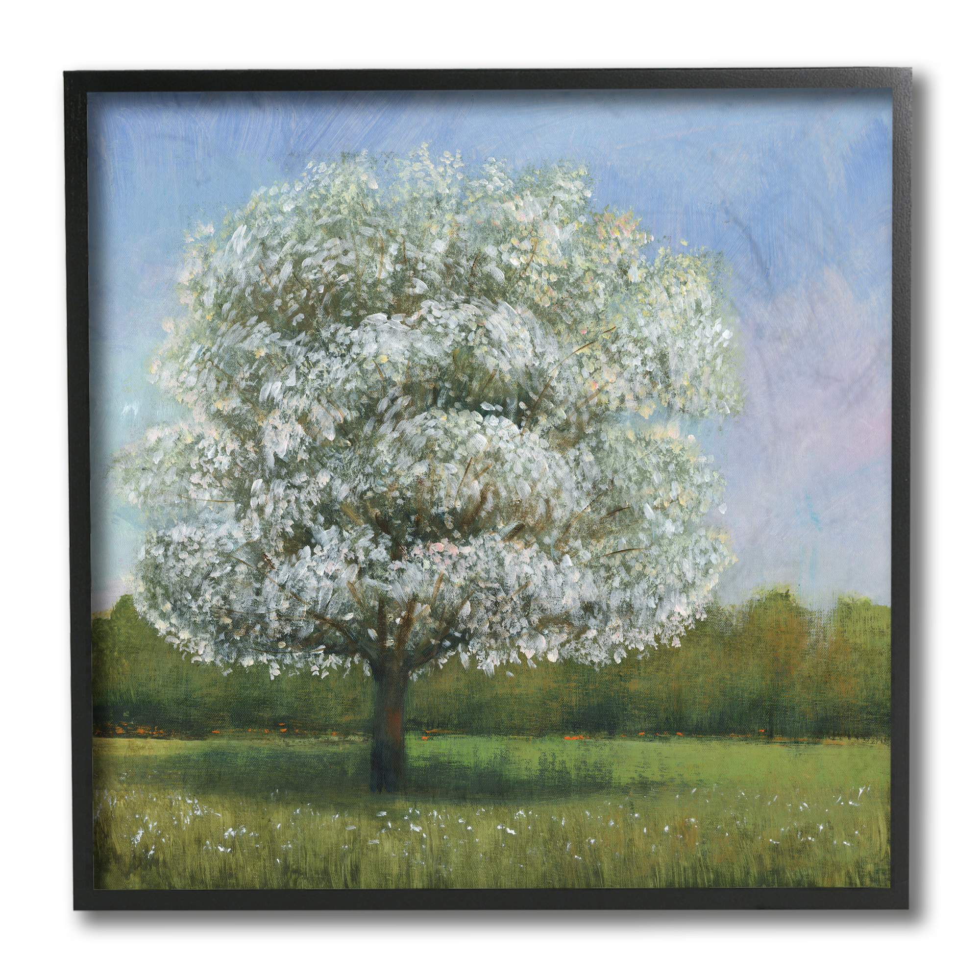 Stupell Industries Spring Blossom Tree Landscape White Floral Meadow Black Framed by Tim OToole