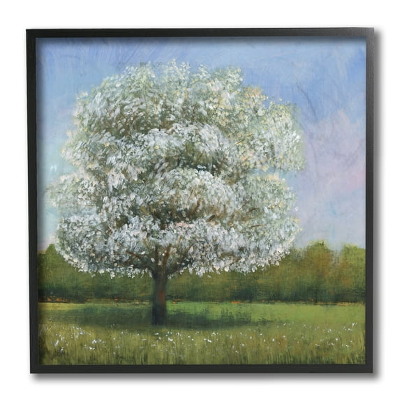 Stupell Industries Spring Blossom Tree Landscape White Floral Meadow Black Framed by Tim OToole
