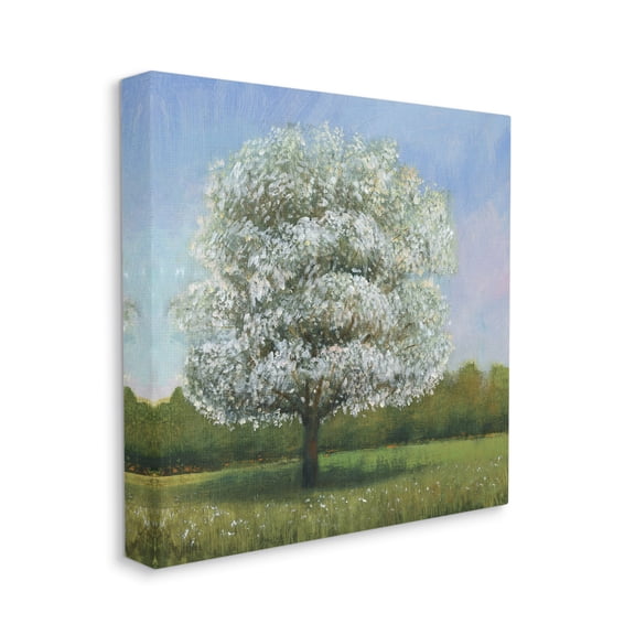 Stupell Industries Spring Blossom Tree Landscape White Floral Meadow Canvas Wall Art by Tim OToole