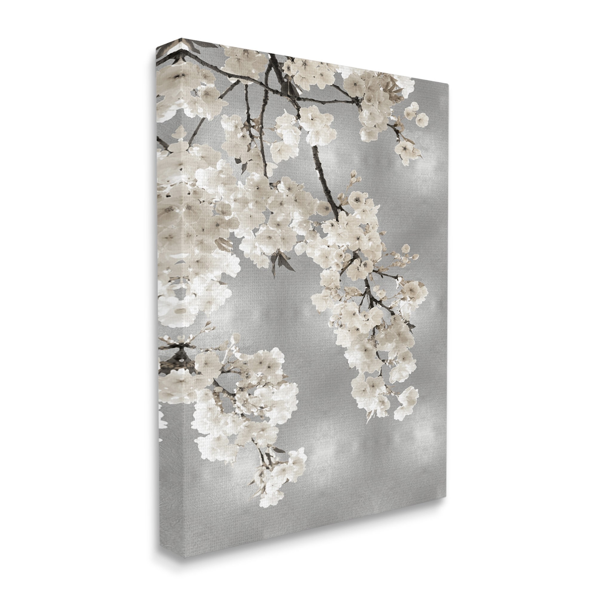 Stupell Industries Spring Blossoms White Flowers Tree Branch,30 x 40,Designed by Kate Bennett