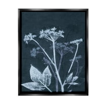 Stupell Industries Spring Botanical Shapes Botanical & Floral Painting Black Floater Framed Canvas Art Print Wall Art, 17 x 21