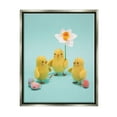 thumbnail image 1 of Stupell Industries Spring Chicks Floral Easter Eggs Holiday Photography Gray Floater Framed Art Print Wall Art, 1 of 6