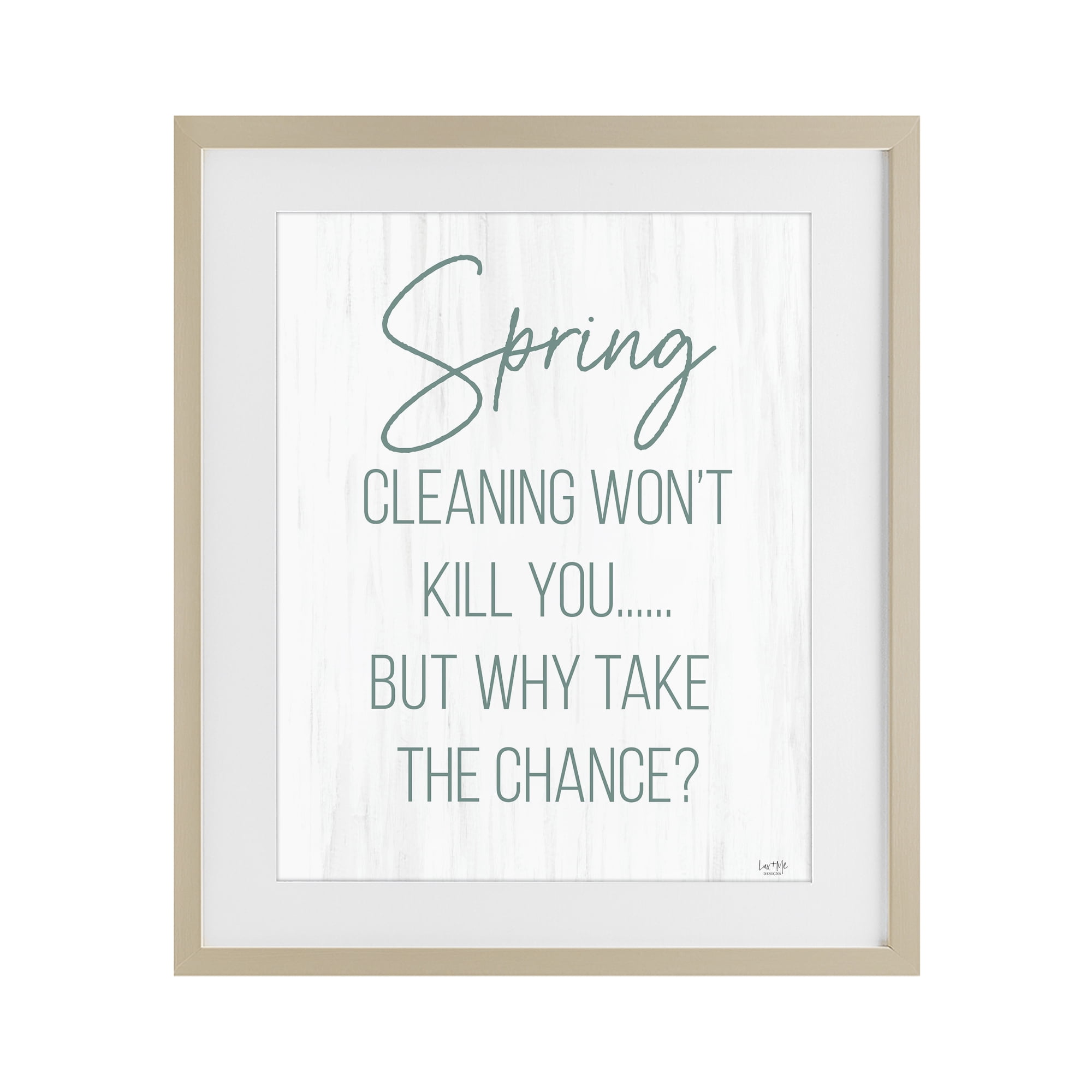 Stupell Industries Spring Cleaning Won't Kill You Birch Framed Print Under Glass, design by Lux + Me Designs