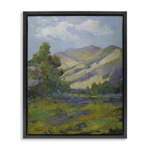 Stupell Industries Spring Day Mountain Landscape & Nature Painting Black Floater Framed Canvas Art Print Wall Art, 25 x 31