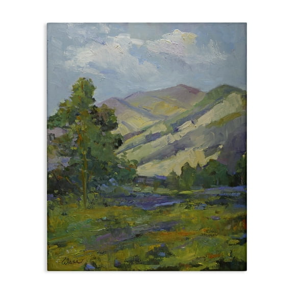 Stupell Industries Spring Day Mountain Landscape & Nature Painting Wrapped Canvas Art Print Wall Art, 16 x 20