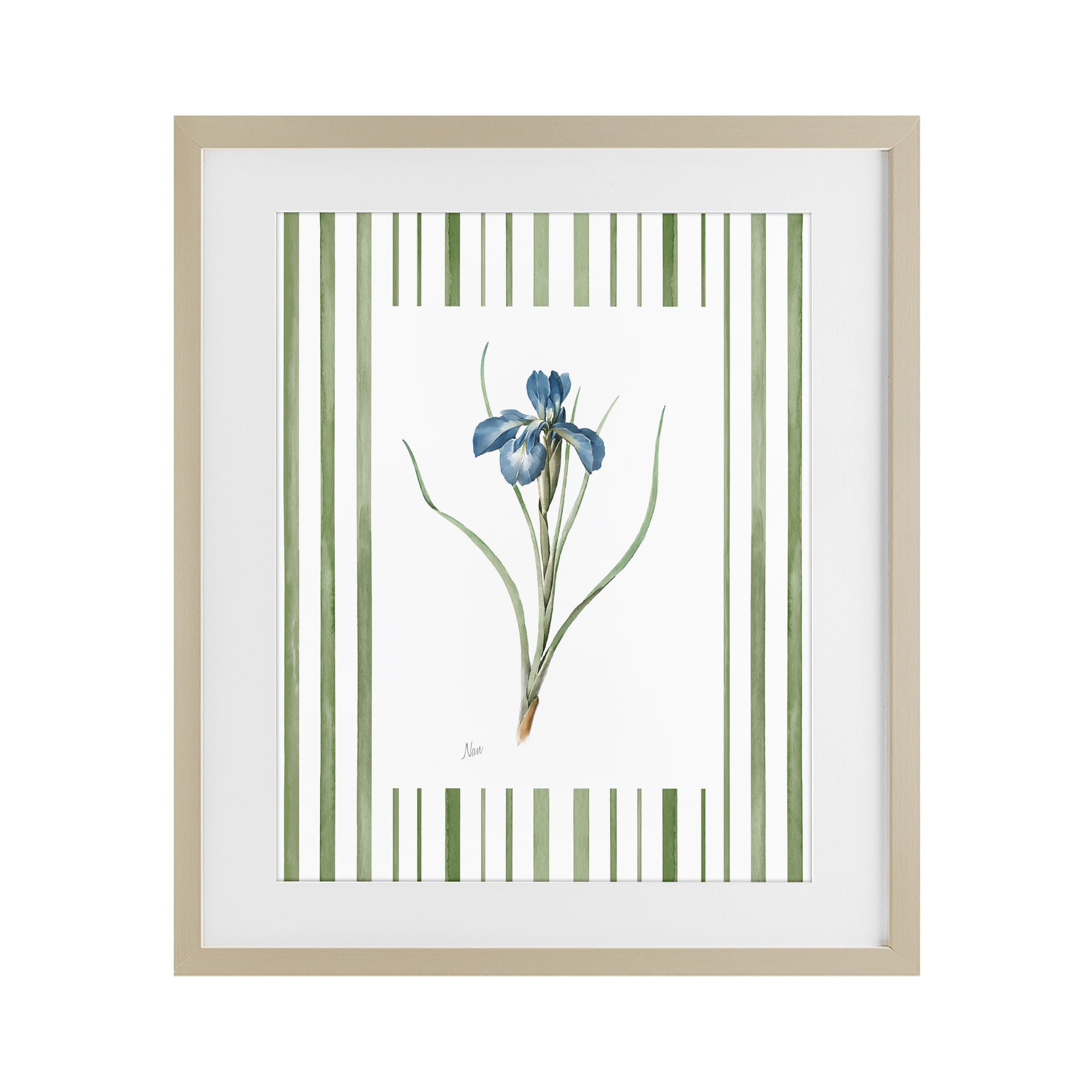 Stupell Industries Spring Iris And Stripes Birch Framed Print Under Glass, design by Nan