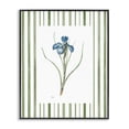 thumbnail image 1 of Stupell Industries Traditional Spring Iris And Stripes Black Framed Giclee Art, 24 x 30, by Nan, 1 of 8