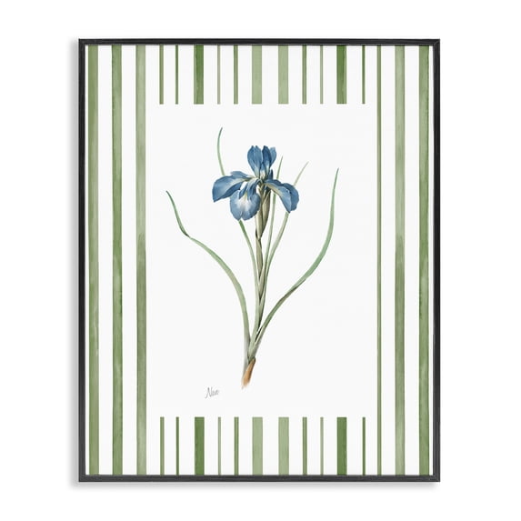 Stupell Industries Traditional Spring Iris And Stripes Black Framed Giclee Art, 24 x 30, by Nan