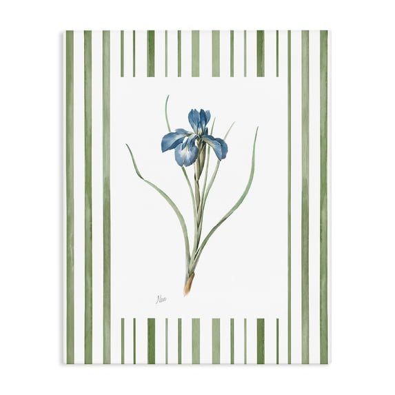 Stupell Industries Traditional Spring Iris And Stripes Canvas Art, 16 x 20, by Nan