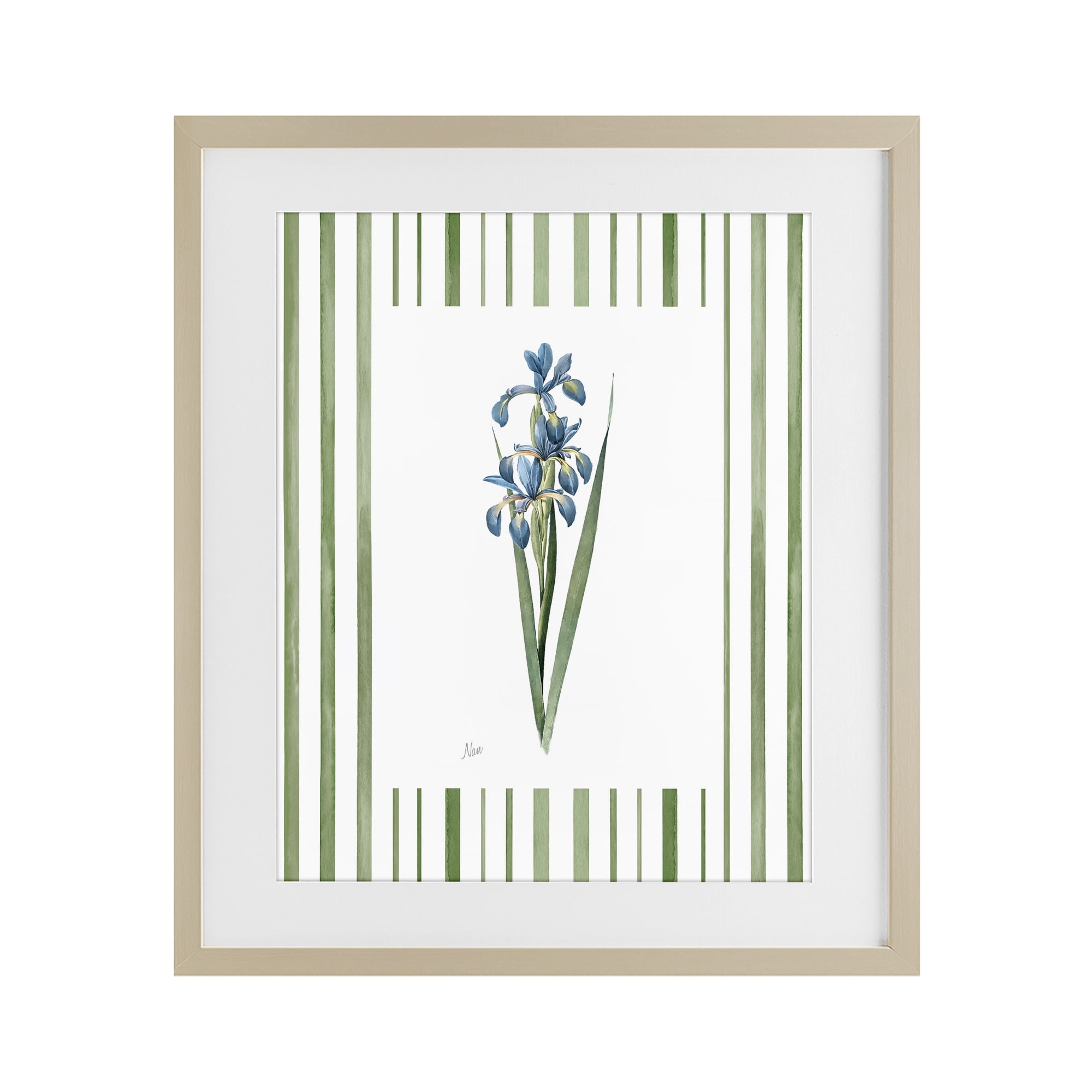 Stupell Industries Spring Irises with Stripes Birch Framed Print Under Glass, design by Nan