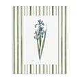 thumbnail image 1 of Stupell Industries Farmhouse Spring Irises with Stripes Canvas Art, 16 x 20, by Nan, 1 of 8
