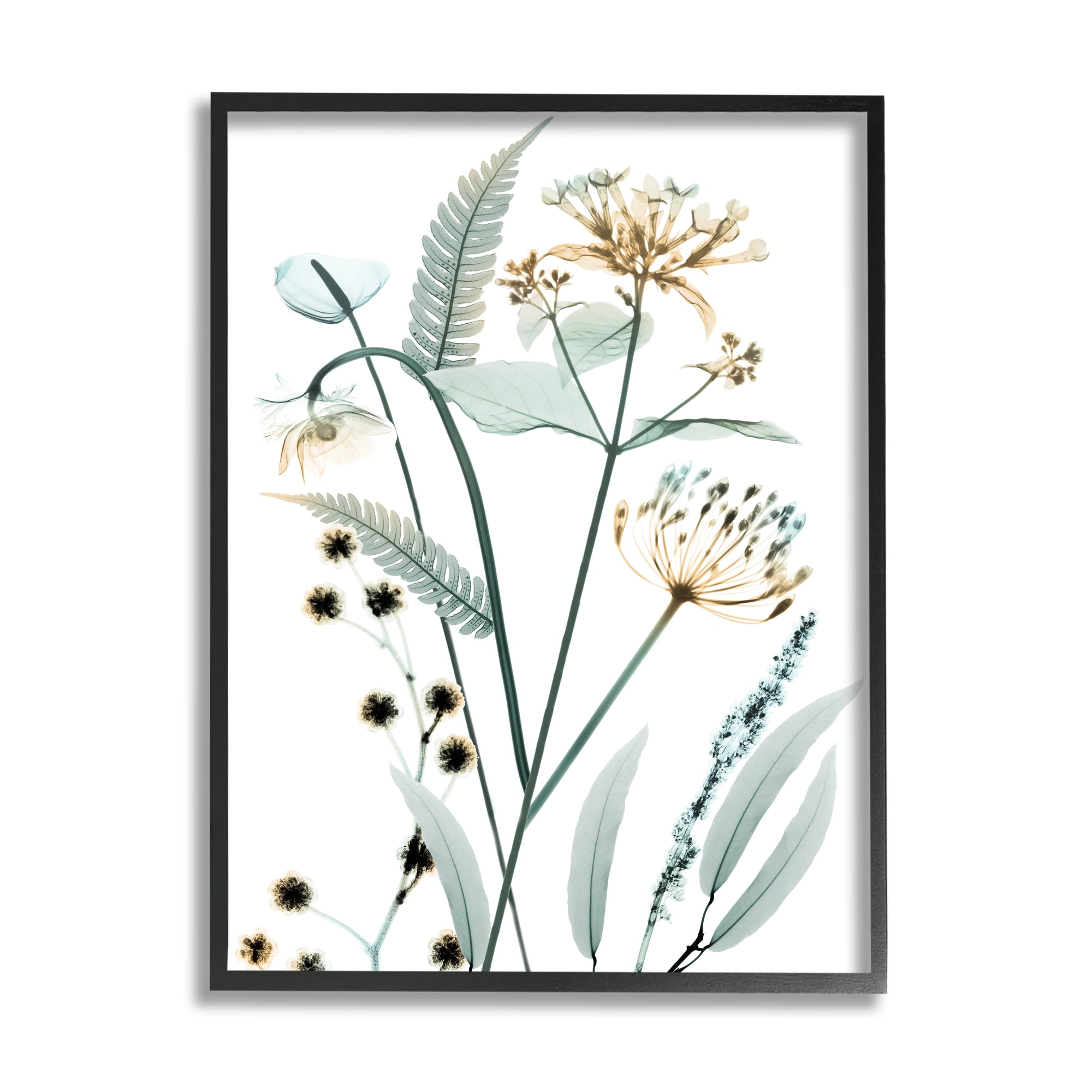 Stupell Industries Spring Meadow Wildflowers Translucent Plant Botanical & Floral Photography Black Framed Art Print Wall Art, 11 x 14