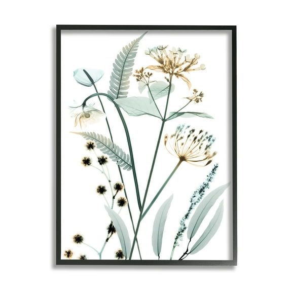 Stupell Industries Spring Meadow Wildflowers Translucent Plant Botanical & Floral Photography Black Framed Art Print Wall Art, 11 x 14