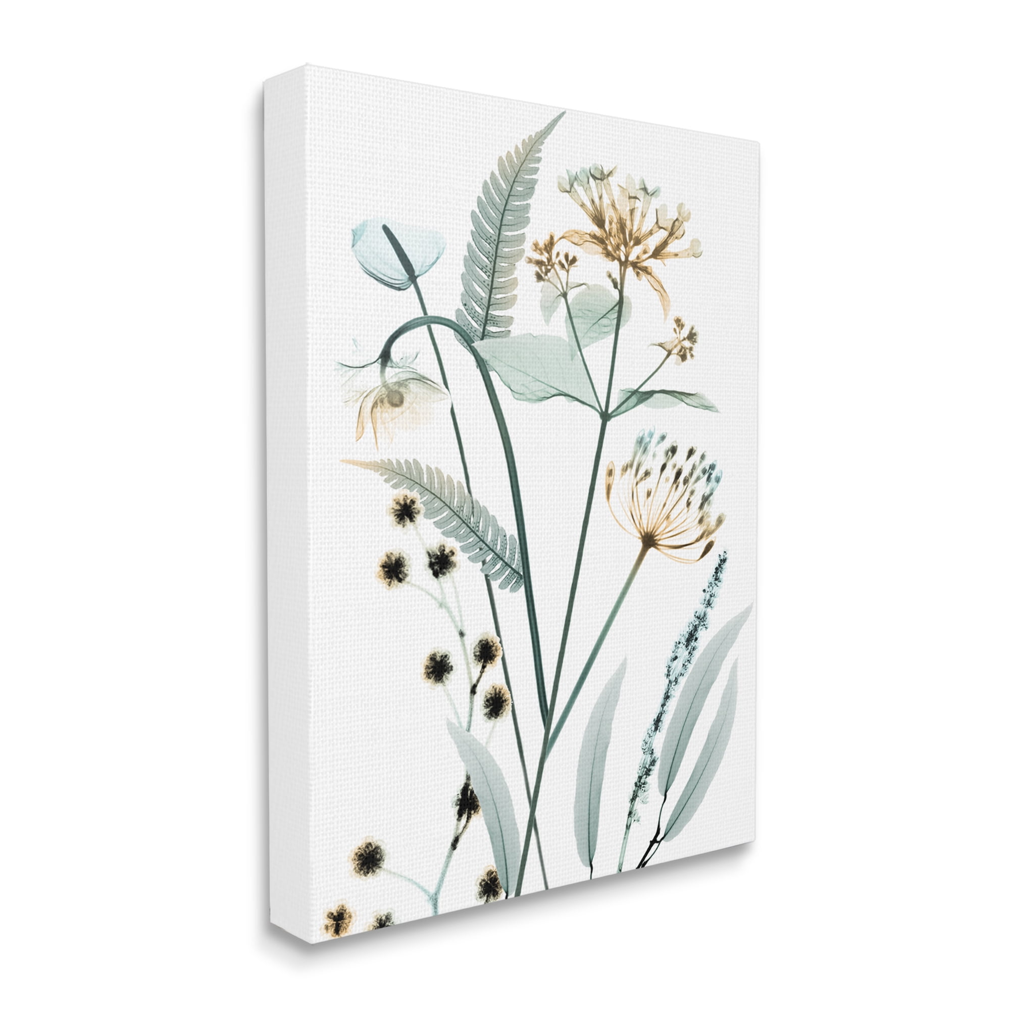 Stupell Industries Spring Meadow Wildflowers Translucent Plant Botanical & Floral Photography Gallery Wrapped Canvas Print Wall Art, 30 x 40